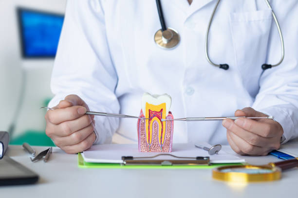 Best Emergency Wisdom Teeth Removal in Tallapoosa, GA
